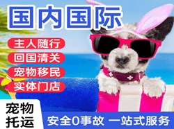 常德桃花源空运公司国际宠物托运 【国
